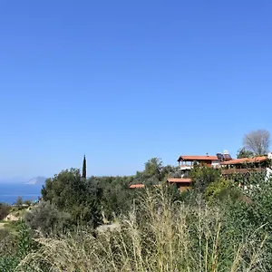 Casa Roja Проживание в семье